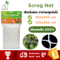 Scrog net ตาข่าย ปลูกต้นไม้ เชือกไนล่อน 150x450cm ขนาดใหญ่ คุ้มมาก!!!