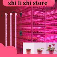 zhilizhi Store Plants Full Spectrum LED flower Grow tent box Light grow Greenhouse Phyto lamp kit red blue veg Indoor Cultivation Growth Lights