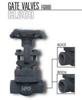 Gate valve A105 #800 Screw NPT ,Socket weld SW, Size 1/2" ,3/4" ,1" ,1.1/2" ,2"