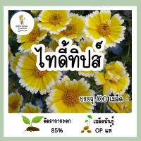 เมล็ดพันธุ์ ไทดี้ทิปส์ 100เมล็ด