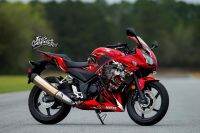 สติ๊กเกอร์ Full Body ลาย หมาป่า เต็มคัน รถรุ่น Honda CBR 300