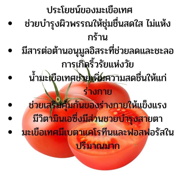 ส่งฟรี-ไลโคพีน-มะเขือเทศสกัด-ไลโคปีน-กิฟฟารีน-giffarine-lycopene-มะเขือเทศสกัด