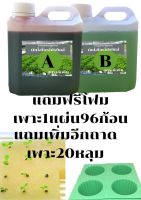 ปุ๋ยAB สำหรับปลุกผักไฮโดรโปรนิกส์ ขนาด2ลิตร (A1ลิตร.B1ลิตร) ติดตามร้านค้าทางร้านมีส่วนลด