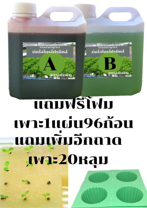 ปุ๋ยa-b-สำหรับปลูกผัก-ใฮโดรโปรนิกส์-สูตรเข้มข้น