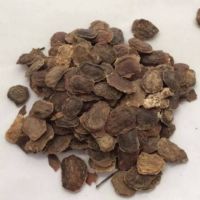 30 เมล็ด เมล็ดพันธุ์ พะยูงไหหลำ แบบแกะเมล็ด พร้อมปลูก (หวงฮัวหลี) (Hainan Huanghuali) seed