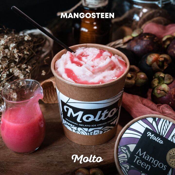 รุ่นขายดี NEW MANGOSTEEN (ไอศกรีม มังคุด สูตรใหม่ 1 ถ้วย 16 OZ