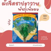 เมล็ดพันธุ์ผักชี ตราปลาวาฬ พันธุ์เพิ่มผล 300g