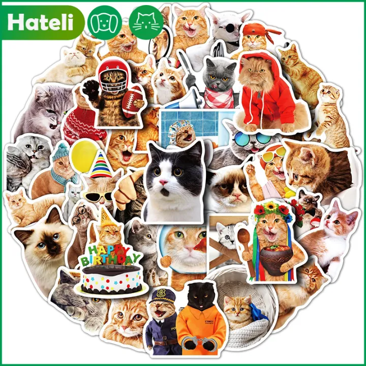 HATELI สติกเกอร์รูปสัตว์อ่างอาบน้ำแมวและสุนัขตลกสำหรับใส่แล็ปท็อป1ชิ้น