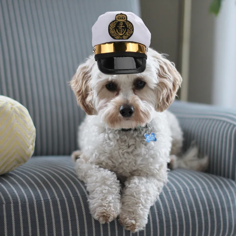 Sea Captain Dog Costume