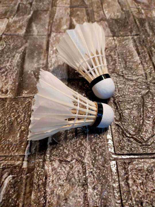 Shuttlecock Heavy Duty 2 Pieces / Gamit sa Badminton racket Lazada PH