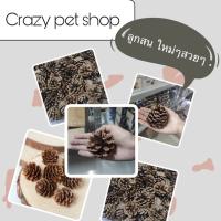 Crazy pet shop ?ลูกสน ลับฟันสำหรับสัตว์เลี้ยงแฮมสเตอร์และสัตว์เลี้ยงตัวเล็ก