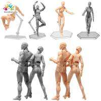 Fancydream 2.0 Body ตุ๊กตากุน PVC Body-Chan DX ชุดตุ๊กตาขยับแขนขาได้สำหรับ SHF