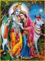 Radha Krishna วัวกระดาษโปสเตอร์14 "X 20" ตกแต่งผนังสำนักงาน