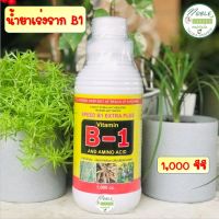 น้ำยาเร่งราก B-1 บีวัน Speed B1 Extra Plus ขนาด 1,000 ซีซี บีวัน สำหรับ กระบองเพชร แคคตัส บอนสี ไม้อวบน้ำ พืชต่างๆ มีวิตามิน B1+กรดอะมิโน