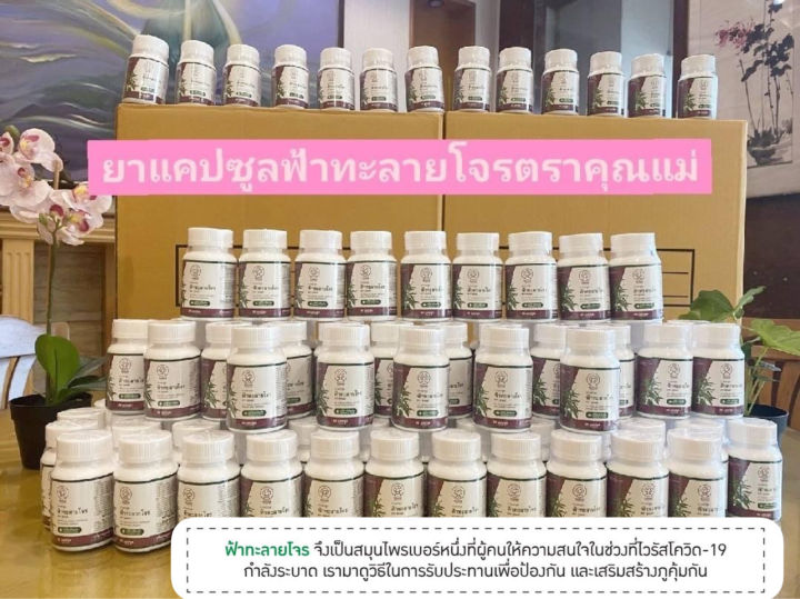 โค้ดส่วนลด-จัดส่งเร็วเป็นอันดับ1-ฟ้าทะลายโจร-1กระปุก-มี-60เม็ด-ฟ้าทะลายโจรสกัด-ฟ้าทะลายโจรสกัด