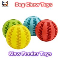 Dog Chew Toys Rubber Teeth Cleaning Ball Pet Puppy Funny Watermelon Toy Food Dispenser Put In Snacks Interact with Owner Toys