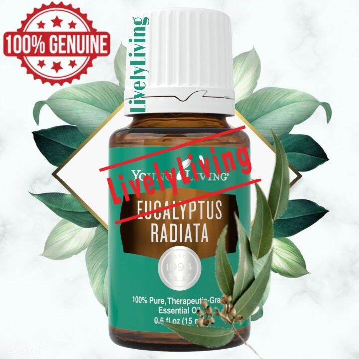 Yl Eucalyptus Radiata Essential Oil 5ml15ml Lazada 9658