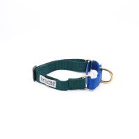 Martingale Collar Human and Hound - Martingale Blue / Green collar dog trainer