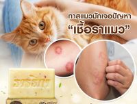 ส่งฟรี/ โปร 6 ก้อน / สบู่ธารธิกา สบู่กระชาย (สูตร ผสมวิตามิน E, ฺB3) / 1 ก้อน 100 g.