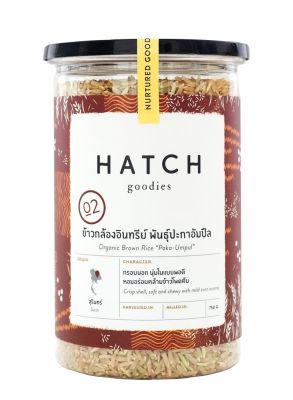 HATCH goodies ข้าวกล้องออร์แกนิค พันธุ์ปะกาอำปึล Organic Brown Rice "Paka Umpul" - Reusable Can (750g)