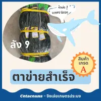 Woww สุดคุ้ม [ถูกที่สุด! มีของแถม] ตาข่ายสำเร็จ อวนล้อมไก่ ตาข่ายกั้นไก่ อวนกั้นไก่ กั้นสัตว์ กั้นไก่ กั้นรั้ว ลัง9 ราคาโปร กรง สุนัข กรง หนู แฮม เตอร์ กรง สุนัข ใหญ่ กรง กระรอก