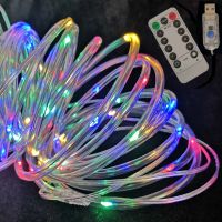 【CW】 50/100 LEDs USB Waterproof RGB Remote Control Outdoor Christmas Lighting Garden Decorative Garland Tube Rope String Lights