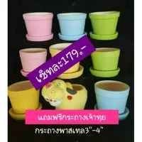 กระถางพาสเทลยกเซ็ท3&amp;4แถมเจ้าทุย