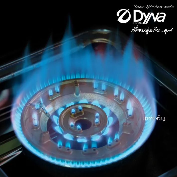 เตาเเก๊สตั้งโต๊ะ-dyna-home-เตาแก๊สสแตนเลส-รุ่น-df-2072-s-เตาแก๊สตั้งโต๊ะ-2หัว