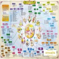 แผนภูมิ แผนผัง ประกอบการเรียนรู้ วิชาพุทธานุพุทธประวัติ สำหรับ นักธรรม ธรรมศึกษา ชั้นเอก
