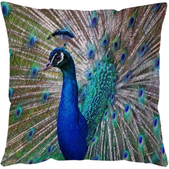 cartoon-animals-pillowcase-dinosaur-butterfly-plush-sofa-cushion-case-starfish-peacock-cushion-cover-for-childrens-bedroom