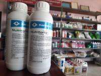 Nutriforte Vivace นิวทริฟอร์ต วิวาเช่ สารเสริมโภชนที่จำเป็นสำหรับสัตว์