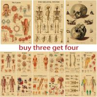2023 ♗﹍ Retro Organ Systems In The Human Body Posters Skeleton Anatomy Kraft Paper Prints DIY Vintage Home Room Art Wall Decor Paintings