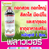 ฟลาวเวอร์