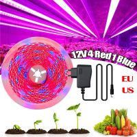 5M LED Plant Grow Strip Lights DC12V USB Full Spectrum Flower Phyto Lamp for Greenhouse Hydroponic Growth Light +Power Adapter Ceiling Lights