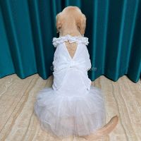 Big Dog Dresses Wedding Dress for Large Dog Summer Chiffon White Pet Dress Labrador Golden Retriever Pet Clothes Husky Clothing Dresses