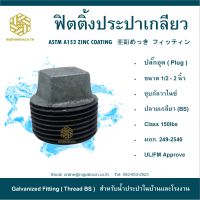 ปลั๊กอุดประปา 1/2" ( PLUG )