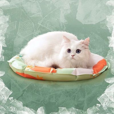 cooling pet mat เบาะนอนเจลเย็นสำหรับสัตว์เลี้ยง ช่วยคลายร้อนให้น้องๆได้ดีเยี่ยม