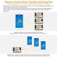 【CW】 2CH WiFi Relay 220V EWelink Timing locking Mode to Receive Information at Where
