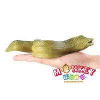 Monkey Toys - โมเดลสัตว์ Eel Moray ปลาไหล ขนาด 22.00 CM (จากหาดใหญ่)