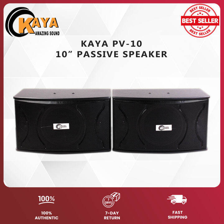 KAYA (PV10) Passive Speakers 10" (2Way/3Way Speaker Bass Reflex) (1