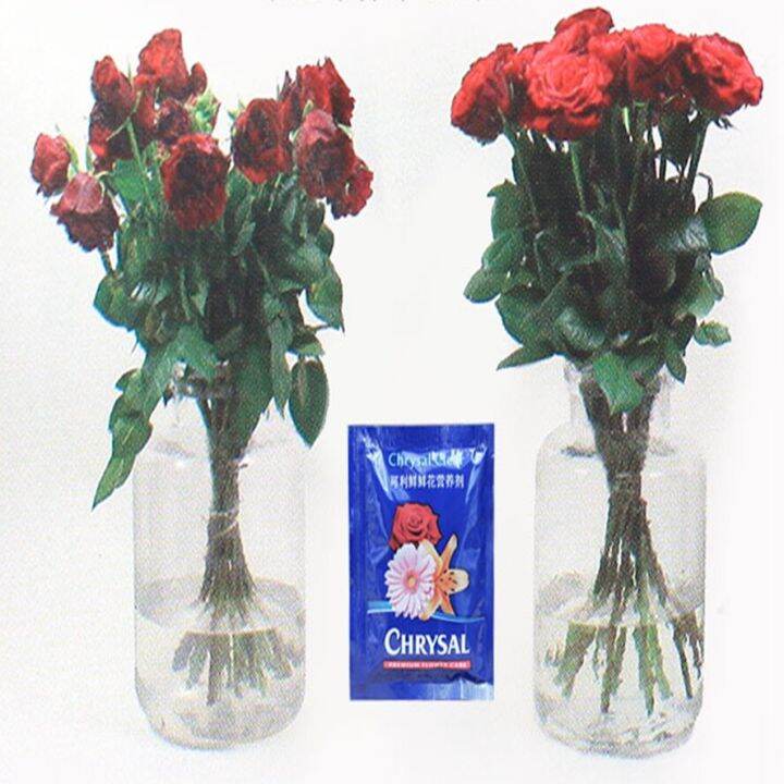 Fresh Flower Preservative 5G Is An Effective Nutrient Solution To