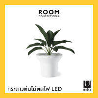 Umbra : Ora Illuminated Planter / กระถางต้นไม้ กระถางต้นไม้ไฟLED ตกแต่งบ้าน