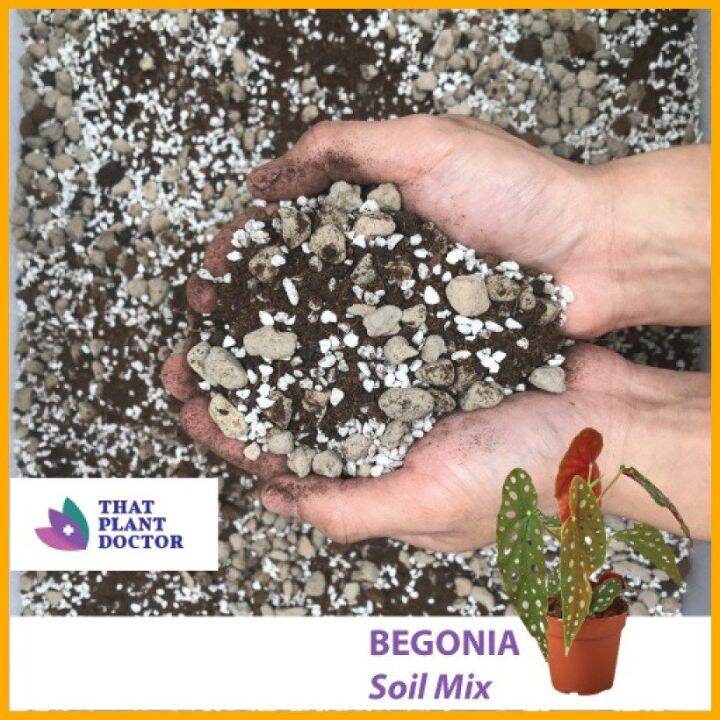 Begonia Soil Mix (4l / 16kg) Lazada