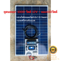 ชุดนอนนา 1000W พร้อมแผง 100 วัตต์ (ไม่รวมแบต) พลังงานแสงอาทิตย์ 12Vและ 12Vto 220V