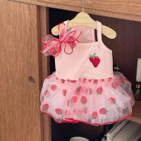 Summer Strawberry Dress Dog Pet Clothing Suspender Skirt for Dogs Clothes Cat Small Print Cute Mesh Dogs Dress Pet Clothing Dresses