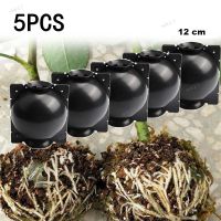 5pcs 12cm Plant Rooting Ball Grafting Rooting Growing Box Breeding Case Container Nursery Box For Garden Root 17TH
