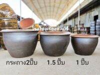 กระถางมังกร ราชบุรี (สีดำเลน) ฟรีค่าจัดส่ง ส่งตรงถึงหน้าบ้าน แตกเปลี่ยนใบใหม่ให้เลย