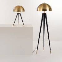 【YD】 Metal Electroplating Floor Lamp Postmodern Designer Decco Standing Lamps Room Bedroom Table