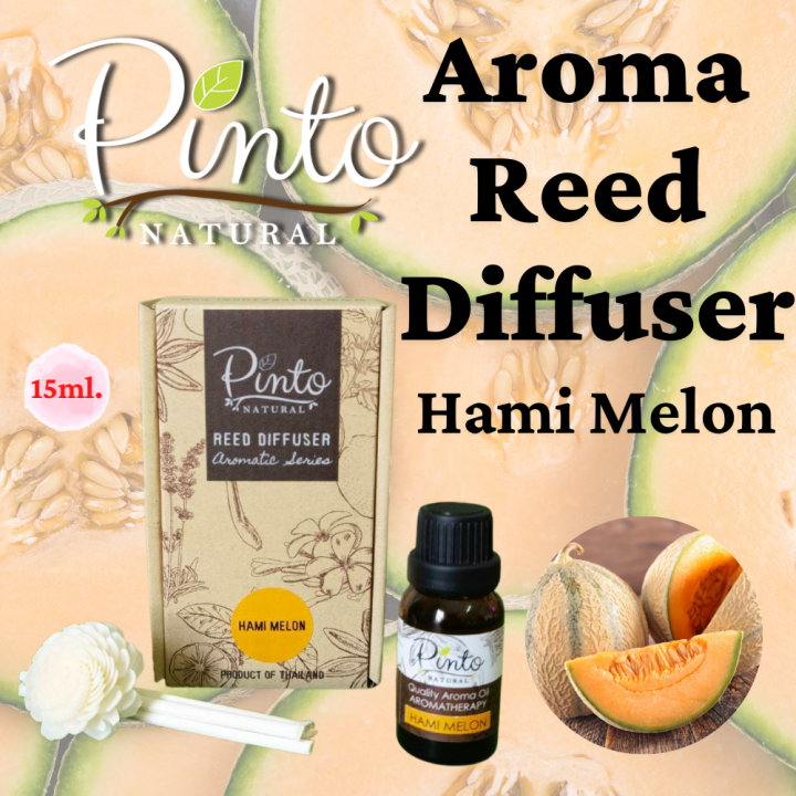 ใหม่-pinto-natural-ก้านไม้หอมปรับอากาศ-15ml-ไซส์มินิ-น้ำหอมปรับอากาศ-aroma-reed-diffuser-15ml