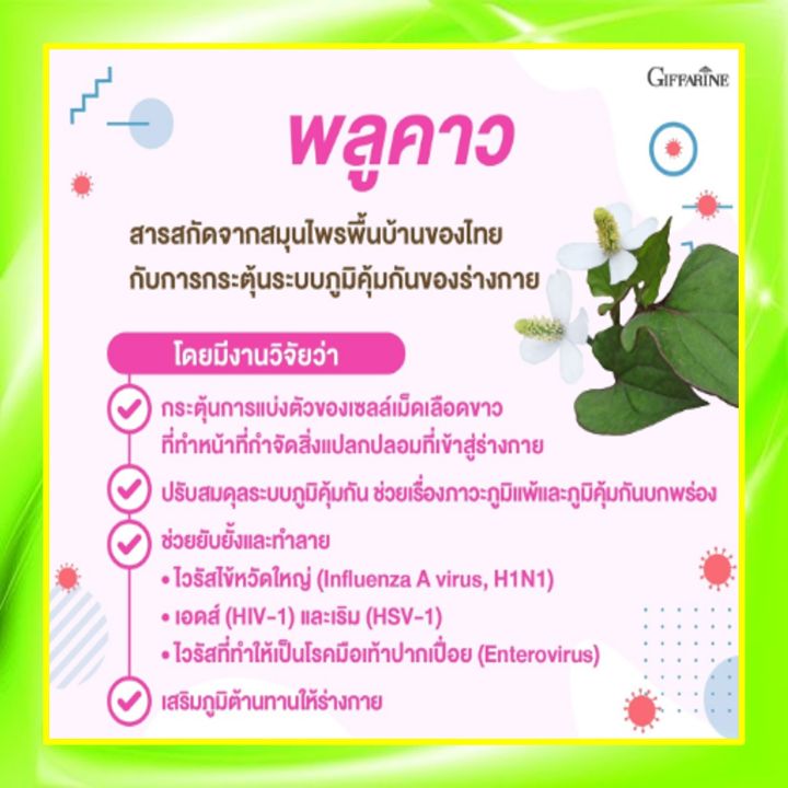 เบต้า-พลูคาว-กิฟฟารีน-beta-plu-kao-giffarine-ผสมเบต้า-กลูแคน-ภูมิแพ้-เป็นหวัด